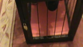 Esclave stocké dans une cage