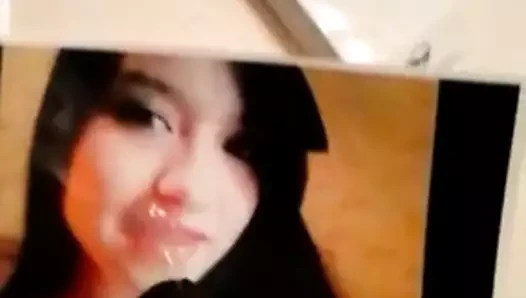 Fani'ye döl haraç
