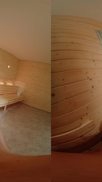 Iconic moment from "Fuck Me in the Sauna - Virtual Real Porn"