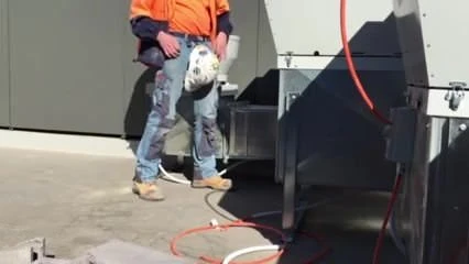 Schwanz mit Sicherheitshelm