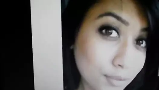 Xxxkittykat için döl haraç req