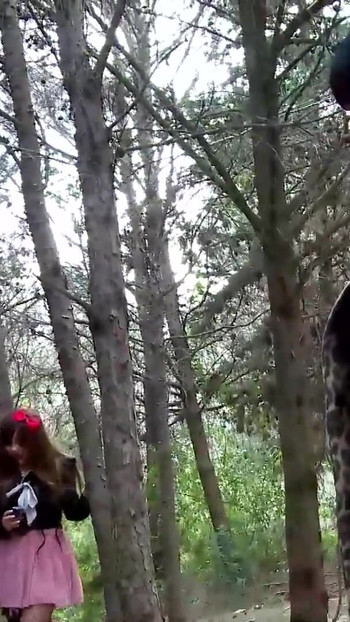 Must-see moment from "Voyeur in lingerie seduced for outdoor sex - girlfriend watches"