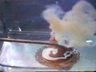 cum underwater