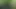 Gündüz piknik masası büyük zenci