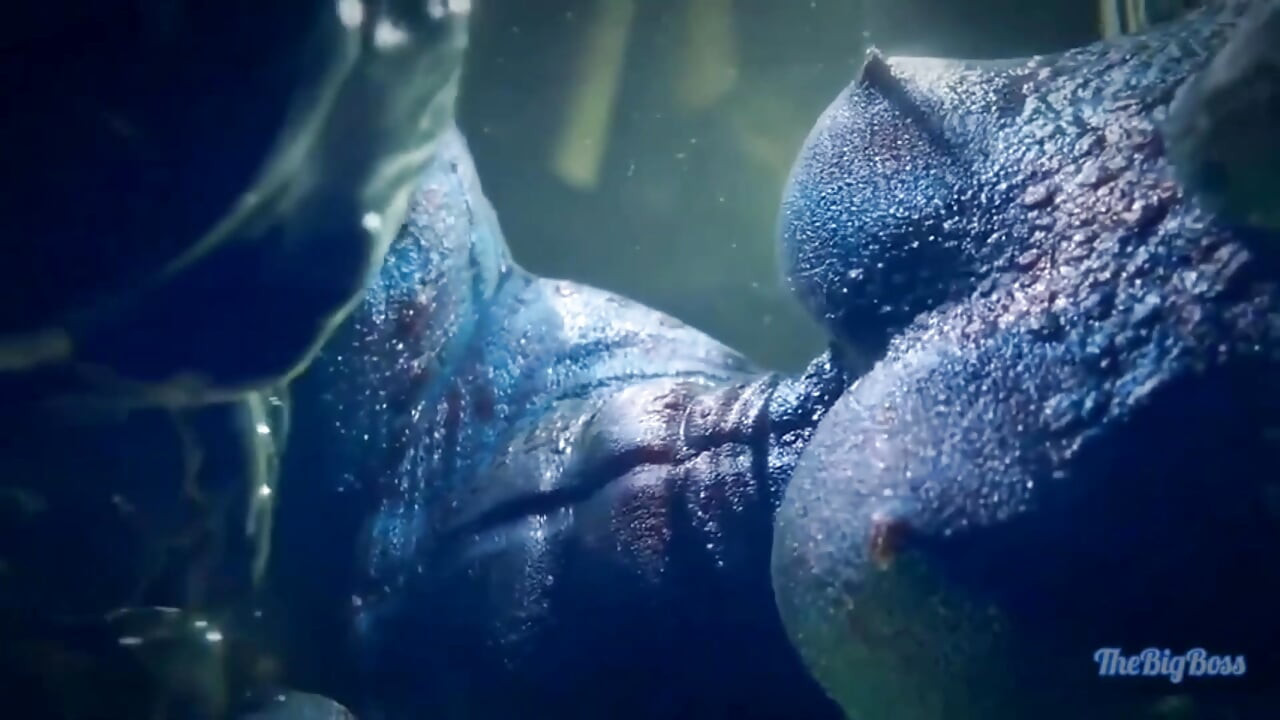 Alkimia berkedut Argonian