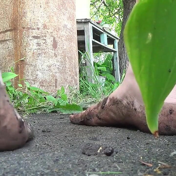 내 더러운 발을 핥아!