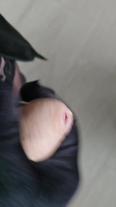 Minhas masturbações