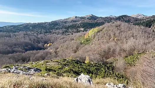 Blowjob auf Reisen. Vilu video