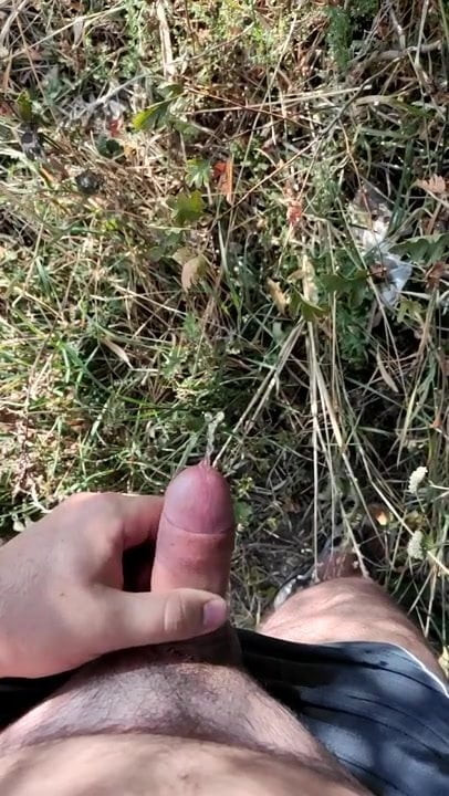 Pee in the Park 2