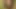 cum on a pic of friend