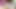 Shemale Cumshot Compilation (arianadoll69) new