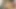 Pelacur Sange Asia #220