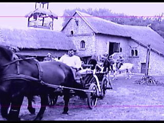 Festa lésbica louca e selvagem