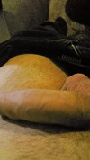 Pregled videozapisa