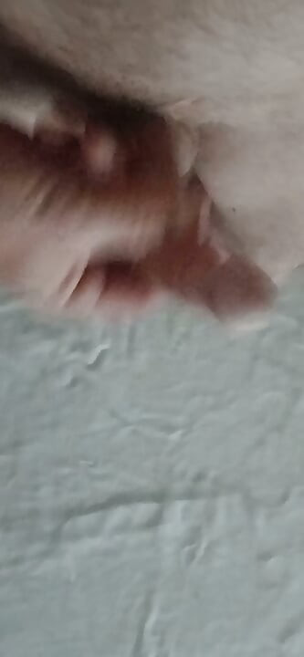 The Timid