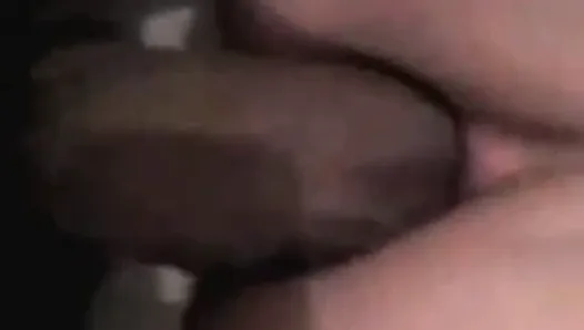 latina anal mamando verga