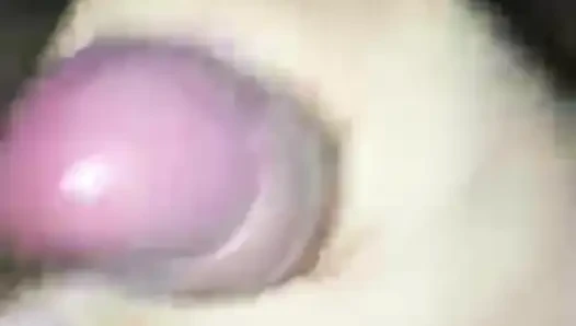 Sikim çekiç gibi