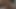Sexy blonde transgender chick rides a dong