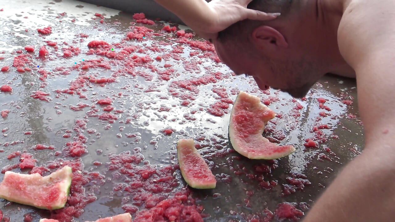 Watermelon feeding!