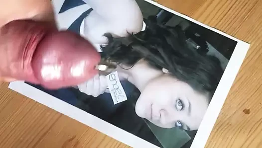Nutzvieh andrea