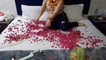 Pregled videozapisa