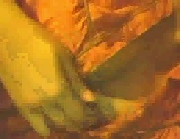 my naked video