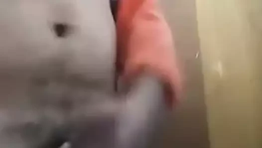 Maduro sacando leche