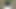 Gaon wali bhabhi ki chudai ganne ke khet mein Indian sex video