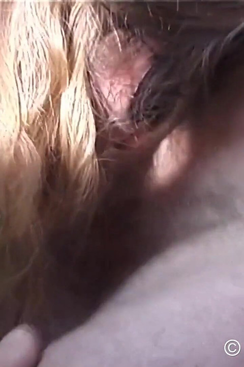 Seks kumpulan BDSM dengan Angie & Loren