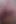 Juicy Pink Pussy Peeing in the Toilet