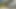 bağbozumu retro alman amatör senin günlük doz bu porno