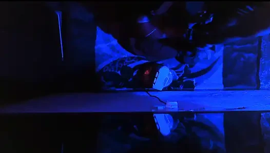 Night Stand bareng Madharchod