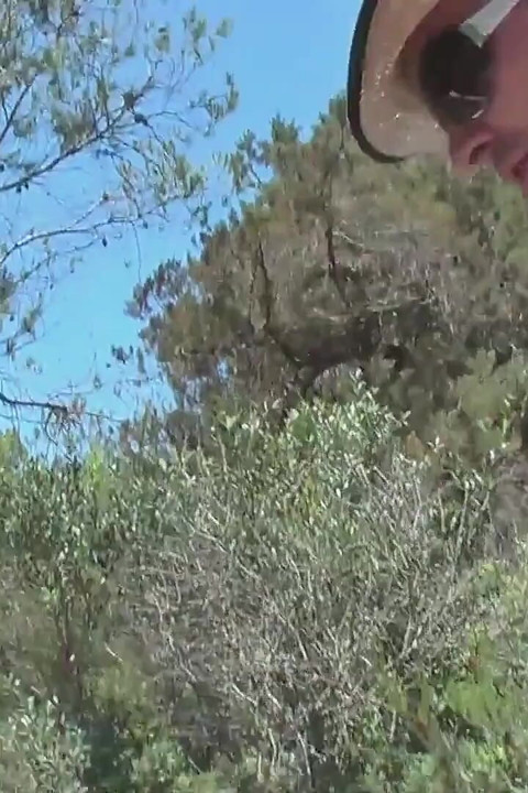 Malle plajının yanında amına şaplak