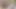 Wanna suck male big boobs juicy nipples!!! Press my hairy big boobies