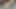 Delhi Boy Pink Dick Massage