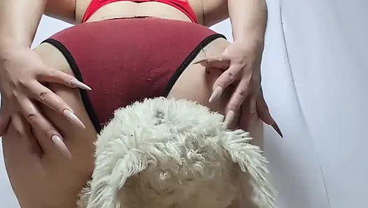 Farts that are inhaled by the teddy bear