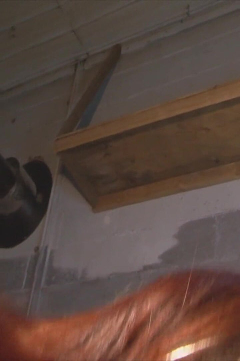 V Ampire Stripper