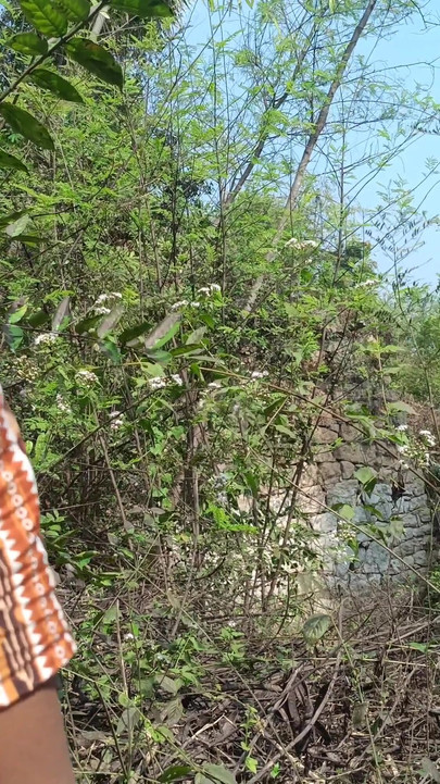 أزواج جامعيون يستمتعون بالنيك في الهواء الطلق | مقطع 1