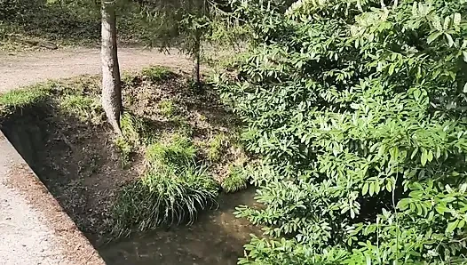 Jogging in the Forest