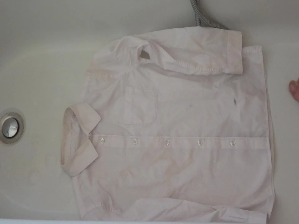 Mijo na blusa branca da escola 3