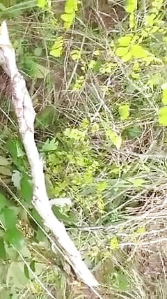 Threesome Dealing in the Bush