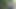 Im Wald glänzende weite Hosen