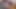 204 - 1 bebek döllenmek için sikişiyor