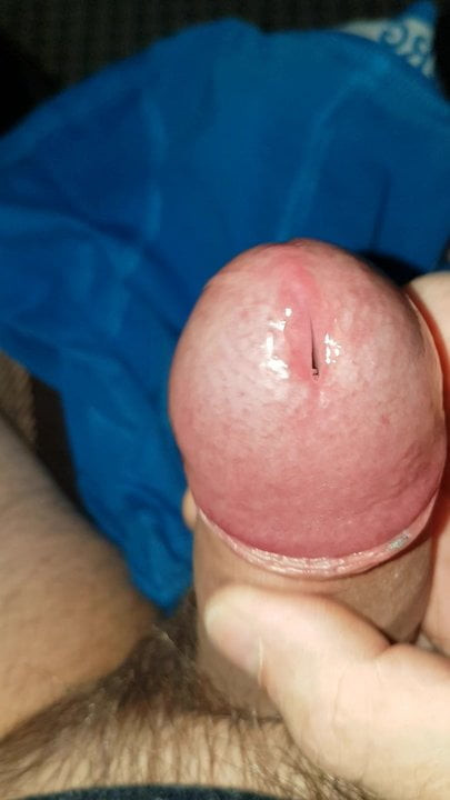 MY DICK