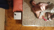 Pregled videozapisa