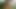 I go to see the river Onlyfans Largedickit