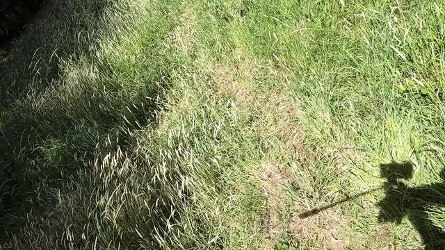 Naked cock ring walk in public woods