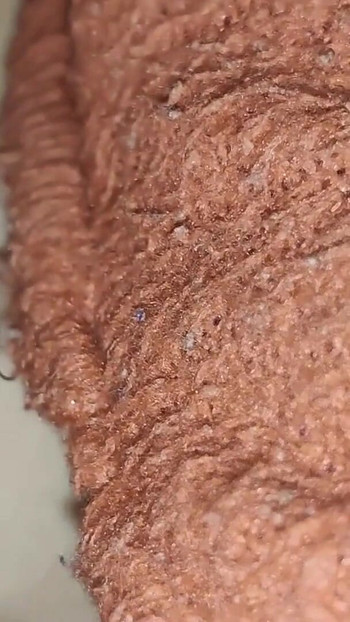 Stepbehna ne bola &quot;Aa ja mere blanket mein so ja&quot;, andar kuch nahi pehna tha - ne lund andar daal ke raat… | Clip 2