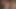 Futa Mila x Tina Animation with Sound