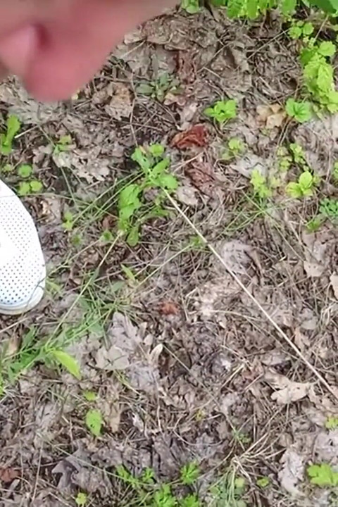 A Friend Sucks My Dick in a Park and Swallows Cum